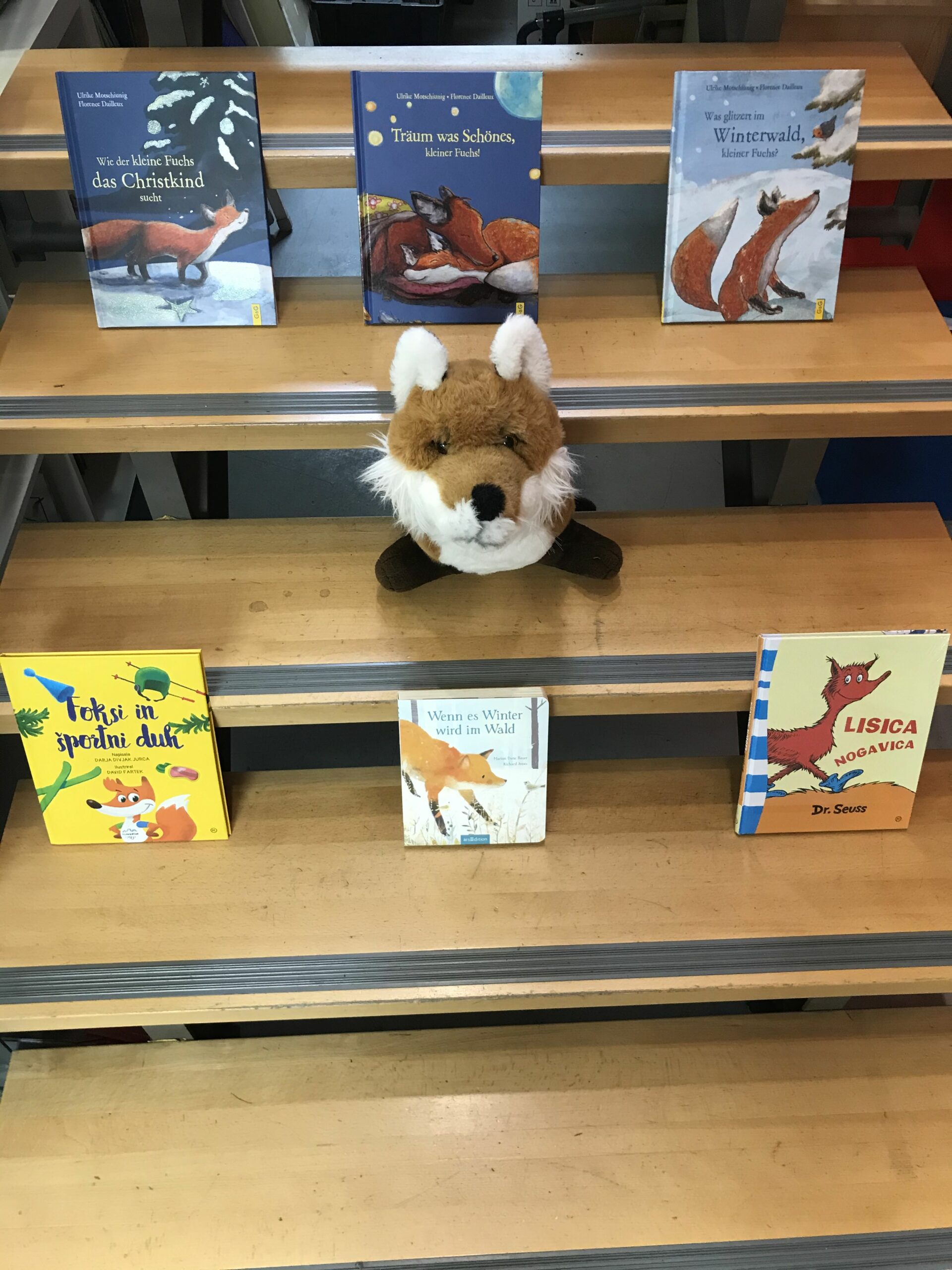 🦊Lisica se je priplazila v knjigarno/ Ein Fuchs hat sich in die Buchhandlung geschlichen🦊