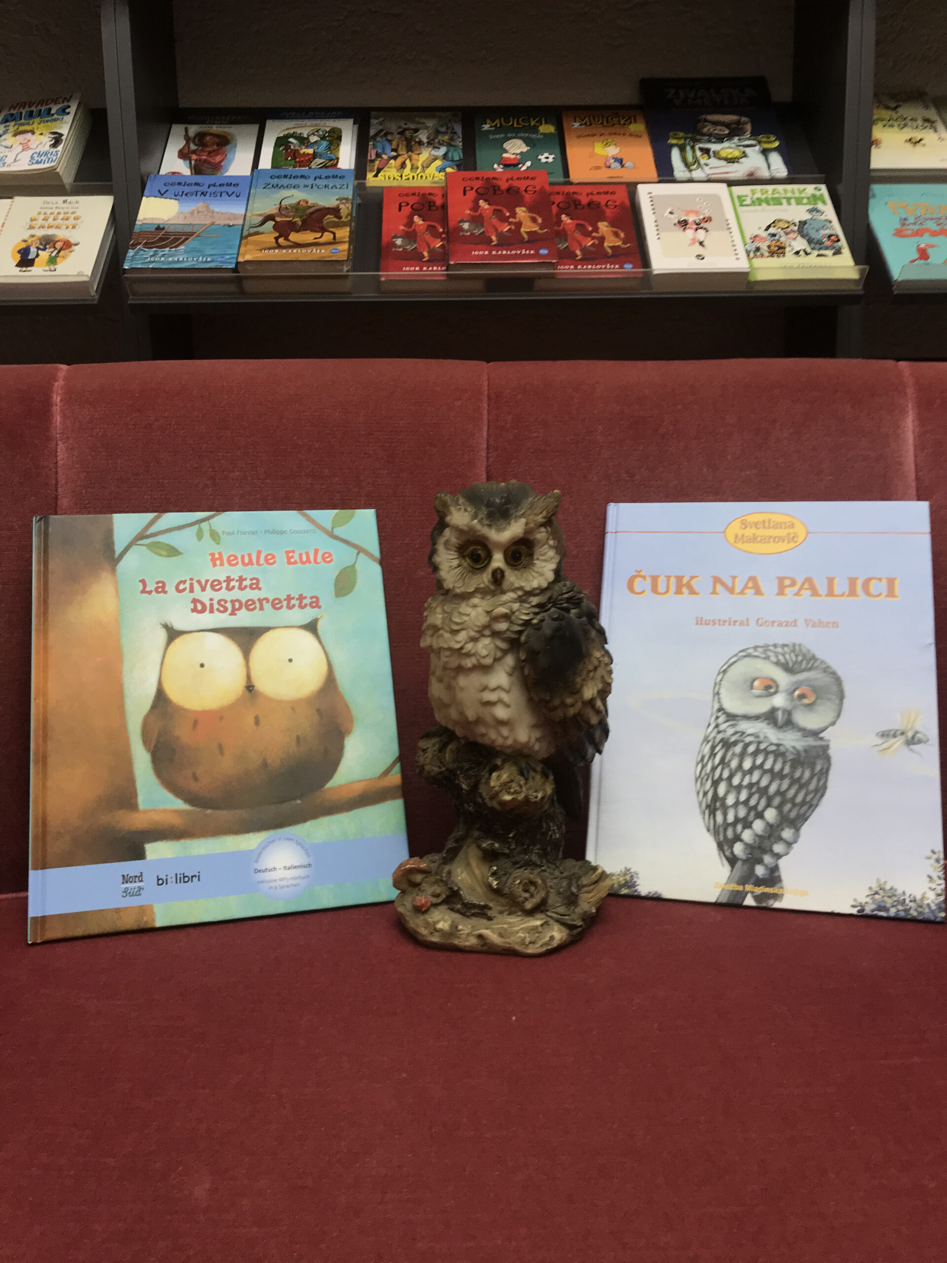 🦉Sova v naši knjigarni govori tri jezike/ Die Eule in unserer Buchhandlung spricht drei Sprachen🦉