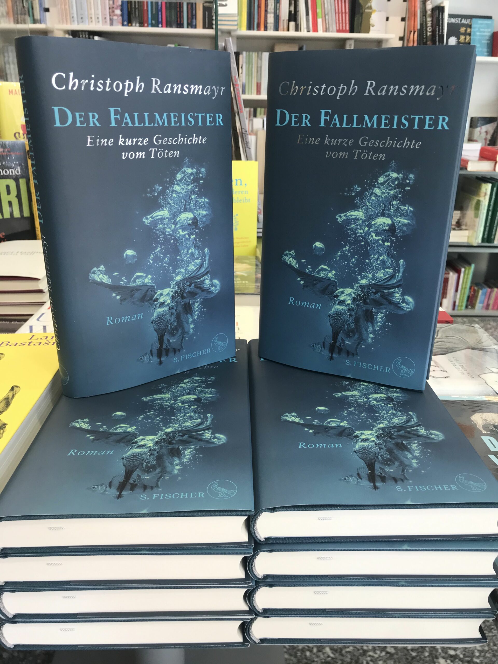 📰Der Fallmeister – Christoph Ransmayr